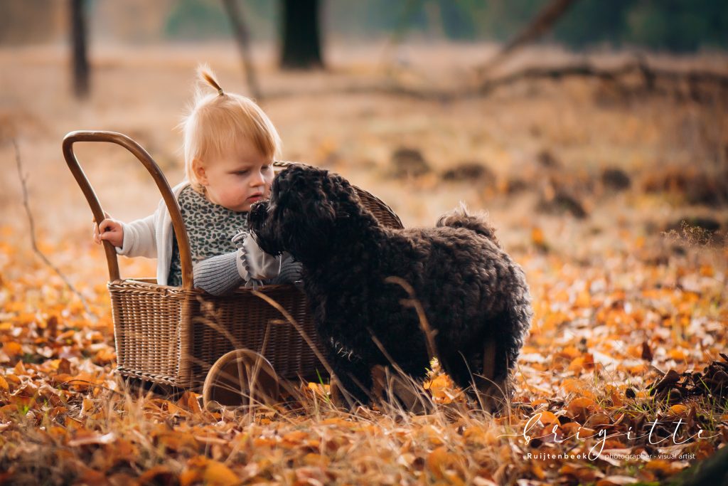 klein meisje in poppenwagen met hond 