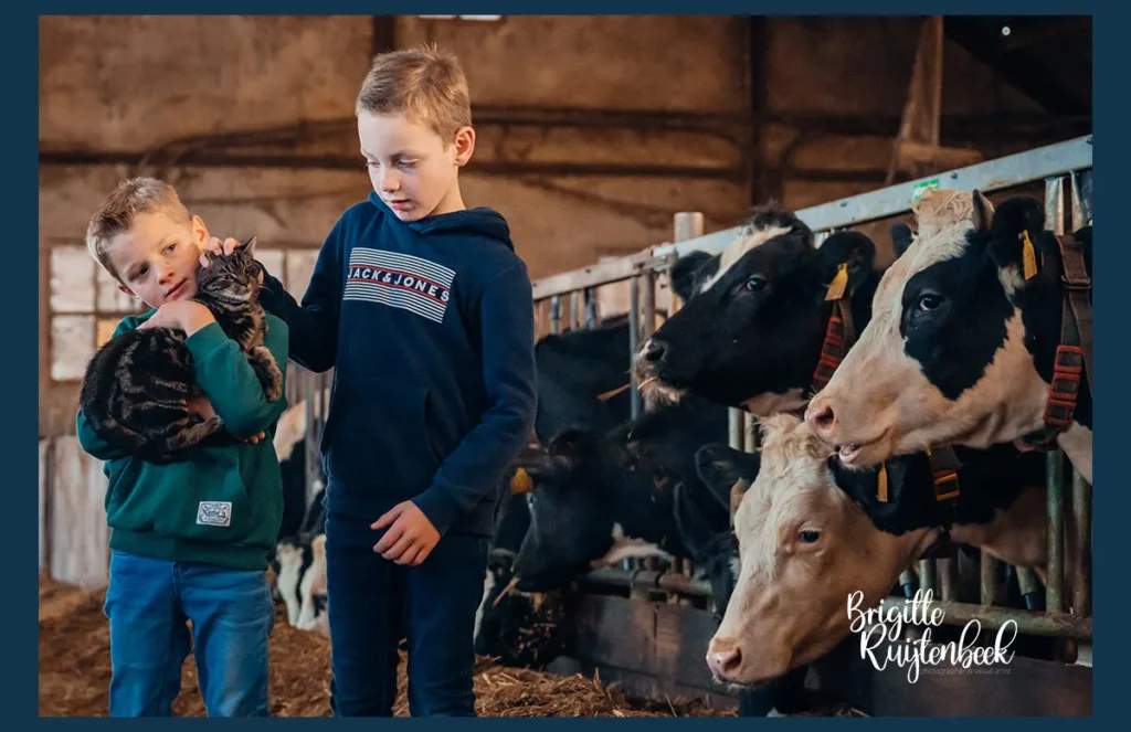 Twee jonge jongens knuffelen een boerderijkat in de stal, omringd door nieuwsgierige koeien op een boerderij in Groningen.