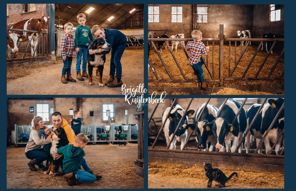 Familie op de boerderij met kinderen, hond en kat tussen de kalfjes in de stal tijdens een Day in the Life fotoshoot.