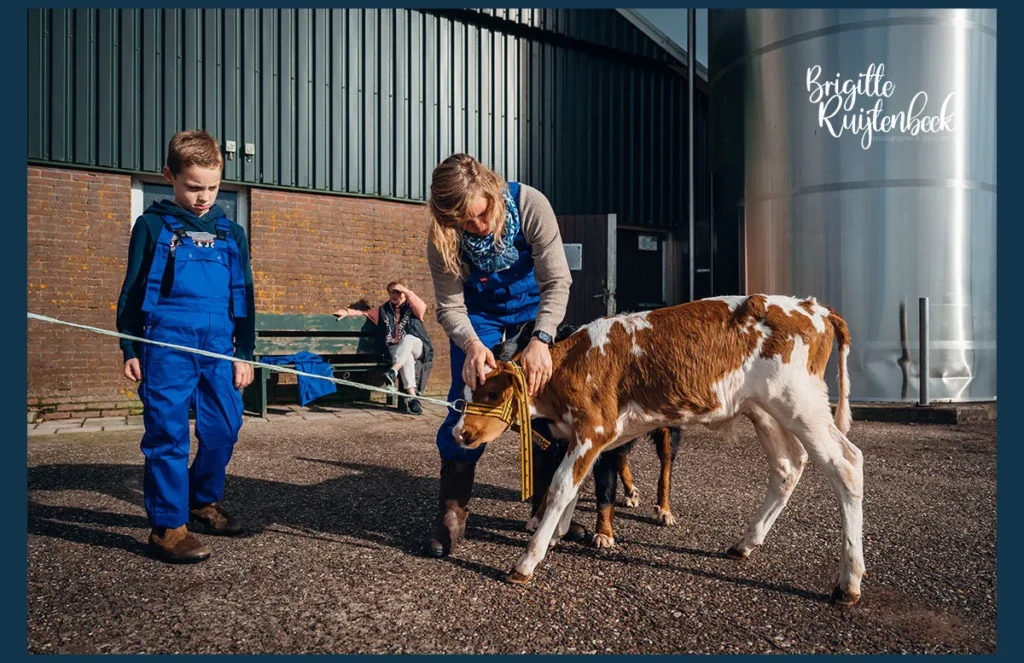 Vrouw in blauwe overall bindt een halster om een jong kalfje op het erf, zoon kijkt toe; op de achtergrond zit oma op een bankje in de zon.