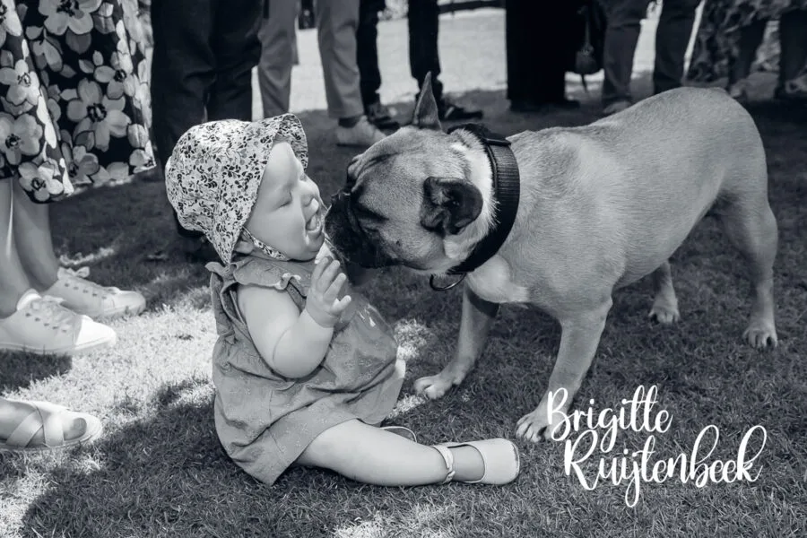 Jong kind zit op het gras en maakt contact met een hond tijdens de bruiloft